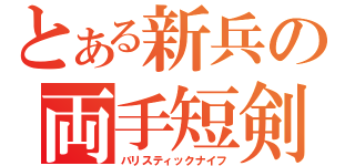 とある新兵の両手短剣（バリスティックナイフ）