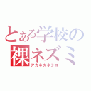 とある学校の裸ネズミ（アカネカネシロ）