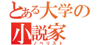 とある大学の小説家（ノベリスト）