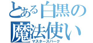 とある白黒の魔法使い（マスタースパーク）