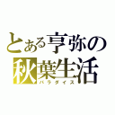 とある亨弥の秋葉生活（パラダイス）