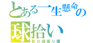 とある一生懸命の球拾い（影の頑張り屋）