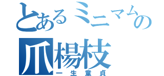 とあるミニマムの爪楊枝（一生童貞）