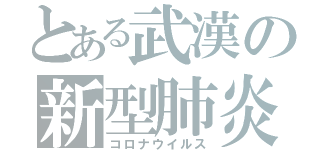 とある武漢の新型肺炎（コロナウイルス）