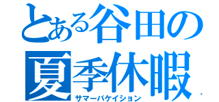 とある谷田の夏季休暇（サマーバケイション）