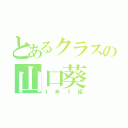 とあるクラスの山口葵（１年１組）