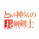 とある神気の長剣剣士（バンガード）