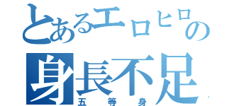 とあるエロヒロの身長不足（五等身）