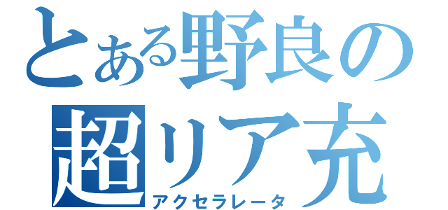 とある野良の超リア充（アクセラレータ）