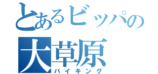 とあるビッパの大草原（バイキング）