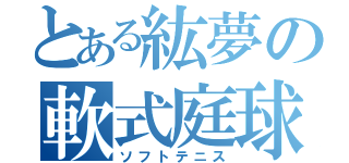 とある紘夢の軟式庭球（ソフトテニス）