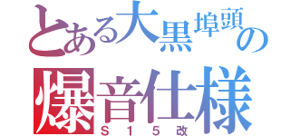 とある大黒埠頭の爆音仕様（Ｓ１５改）