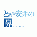 とある安井の鼻（ゴリバナ）