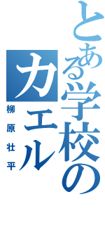 とある学校のカエル（柳原壮平）