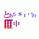 とあるｓｔｒａｉｇｈｔの田中（）