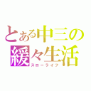 とある中三の緩々生活（スローライフ）