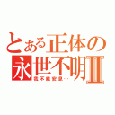 とある正体の永世不明Ⅱ（我不能安息…）