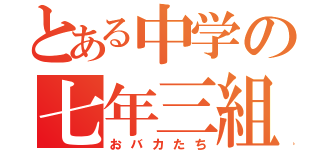 とある中学の七年三組達（おバカたち）