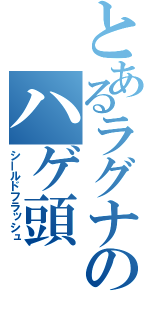 とあるラグナのハゲ頭（シールドフラッシュ）