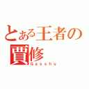 とある王者の賈修（Ｇａｓｓｈｕ）