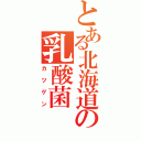 とある北海道の乳酸菌（カツゲン）