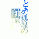 とある孤煌の帥氣（インデックス）