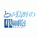 とある烏野の単細胞（たんさいぼう）