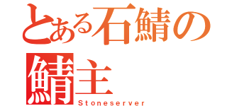 とある石鯖の鯖主（Ｓｔｏｎｅｓｅｒｖｅｒ）