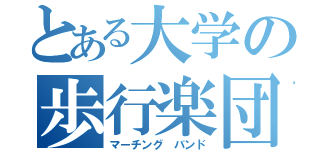 とある大学の歩行楽団（マーチング バンド）