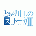 とある川上のストーカー行為Ⅱ（ゴリラ（ 。∀゜））