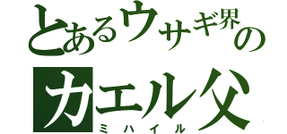 とあるウサギ界のカエル父（ミハイル）