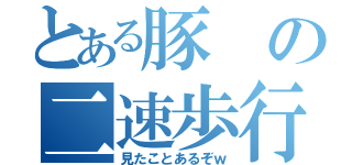 とある豚の二速歩行（見たことあるぞｗ）