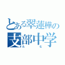 とある翠蓮樺の支部中学生（たむ）