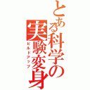 とある科学の実験変身（ビルドアップ）