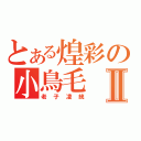 とある煌彩の小鳥毛Ⅱ（老子凌統）