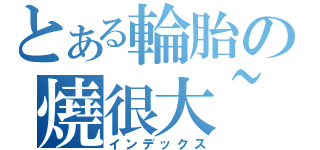 とある輪胎の燒很大~（インデックス）