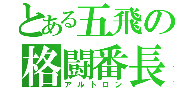 とある五飛の格闘番長（アルトロン）