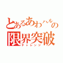 とあるあわハルあわの限界突破（チャレンジ）