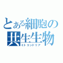 とある細胞の共生生物（ミトコンドリア）