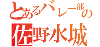 とあるバレー部の佐野水城（）