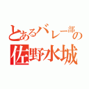 とあるバレー部の佐野水城（）