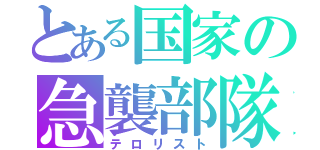 とある国家の急襲部隊（テロリスト）