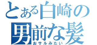 とある白崎の男前な髪型（おサルみたい）