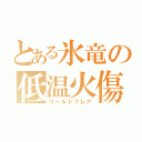 とある氷竜の低温火傷（コールドフレア）