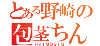 とある野崎の包茎ちんこ（ＨＰＩＭＯＳＩＳ）