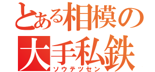 とある相模の大手私鉄（ソウテツセン）