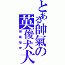 とある帥氣の英俊犬犬（御姐摯愛）