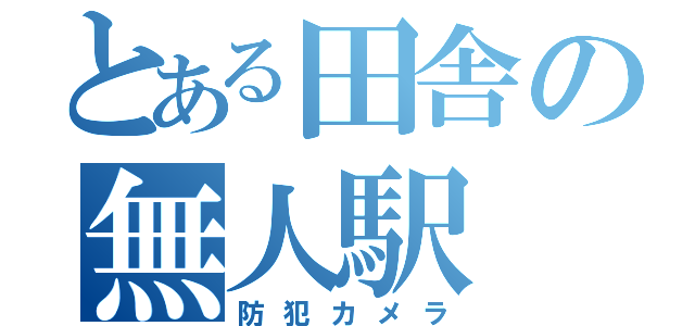 とある田舎の無人駅（防犯カメラ）