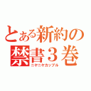 とある新約の禁書３巻（ニヤニヤカップル）