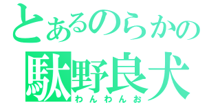 とあるのらかの駄野良犬（わんわんお）